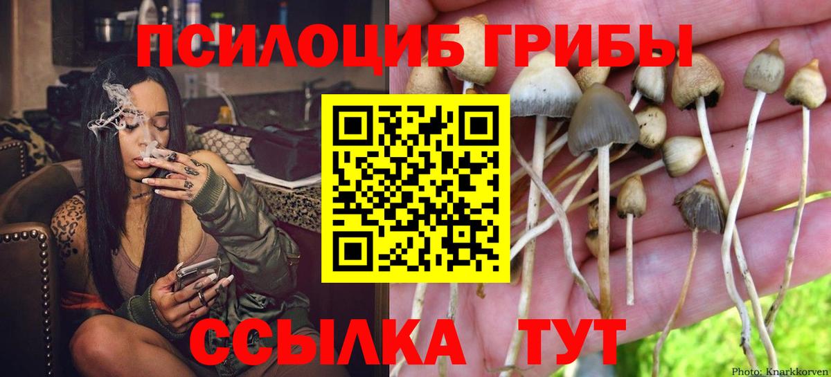 ГАШ Кольчугино
