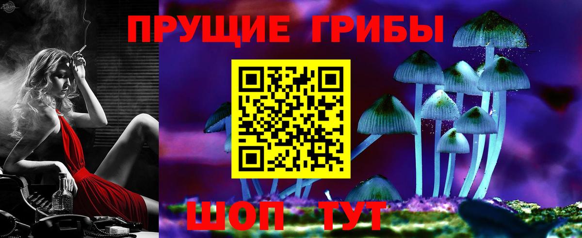Галлюциногенные грибы GOLDEN TEACHER Кольчугино