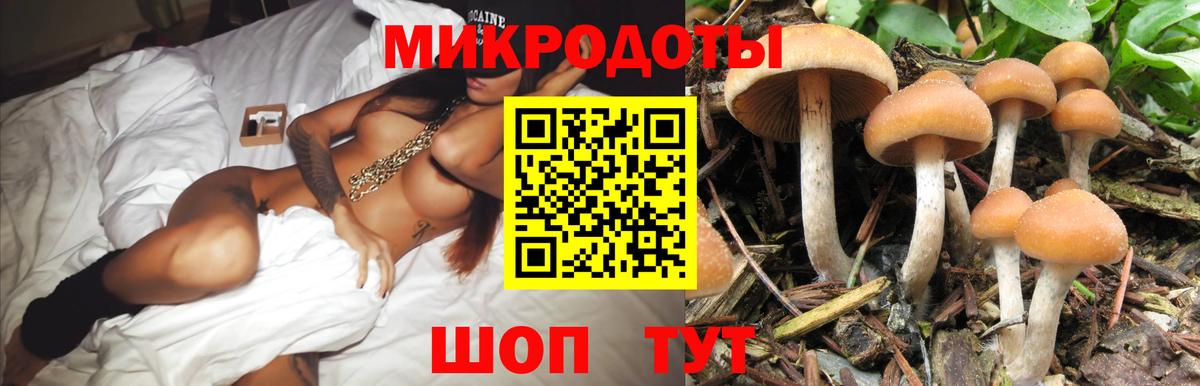 Псилоцибиновые грибы GOLDEN TEACHER  Вход с VPN  Кольчугино 